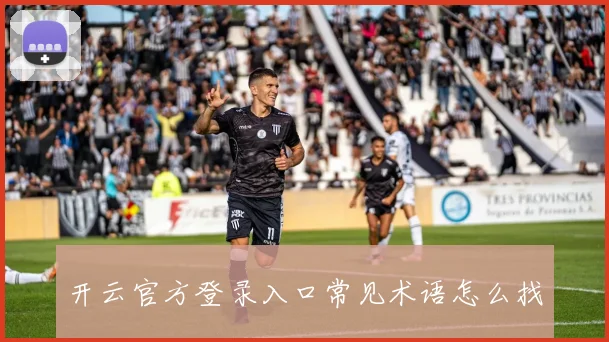 开云官方登录入口常见术语怎么找
