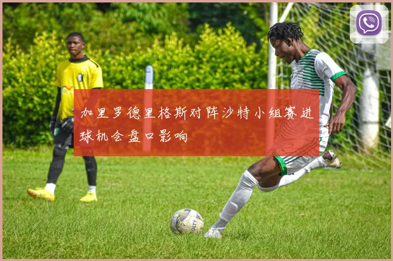 加里罗德里格斯对阵沙特小组赛进球机会盘口影响
