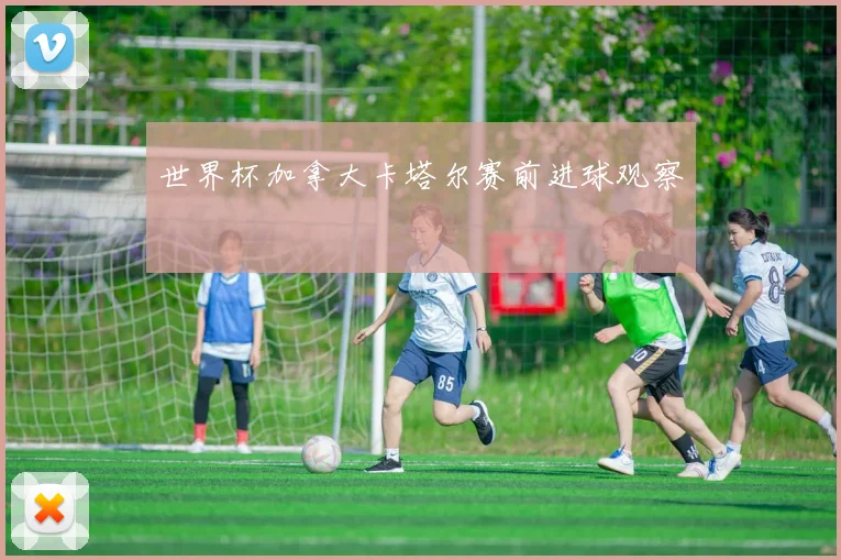 世界杯加拿大卡塔尔赛前进球观察